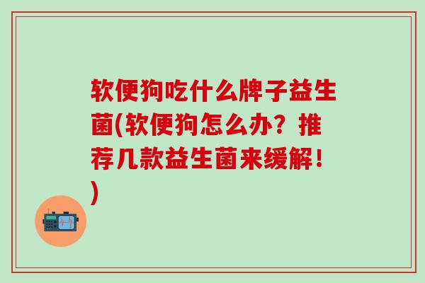 软便狗吃什么牌子益生菌(软便狗怎么办？推荐几款益生菌来缓解！)