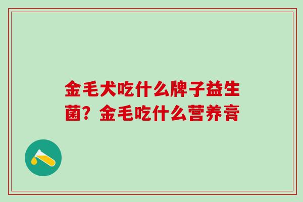 金毛犬吃什么牌子益生菌?金毛吃什么营养膏 金毛犬吃什么牌子益生菌?金毛吃什么营养膏