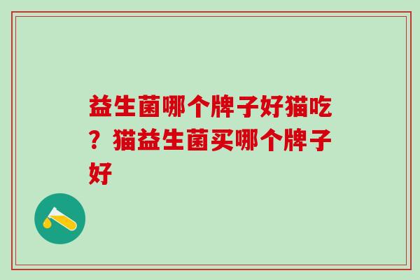 益生菌哪个牌子好猫吃？猫益生菌买哪个牌子好