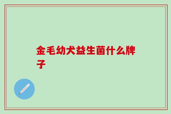 金毛幼犬益生菌什么牌子