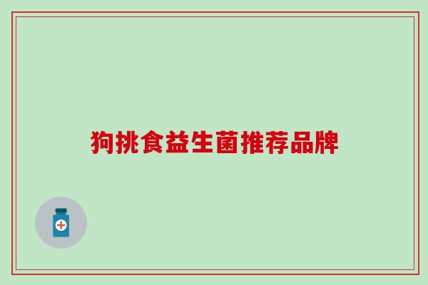 狗挑食益生菌推荐品牌