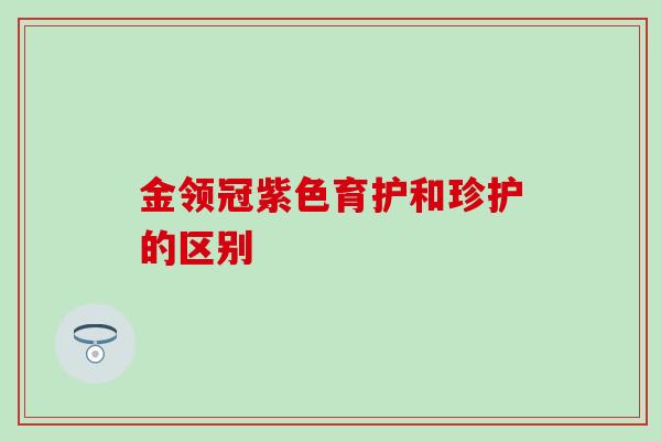 金领冠紫色育护和珍护的区别