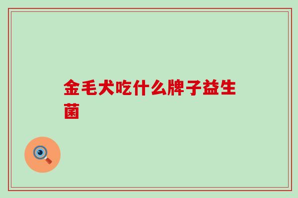 金毛犬吃什么牌子益生菌