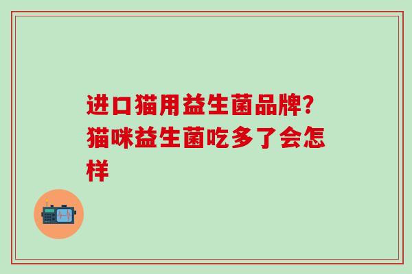 进口猫用益生菌品牌？猫咪益生菌吃多了会怎样