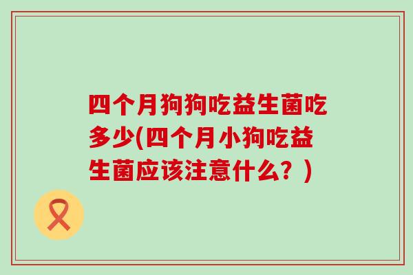 四个月狗狗吃益生菌吃多少(四个月小狗吃益生菌应该注意什么？)