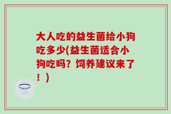 大人吃的益生菌给小狗吃多少(益生菌适合小狗吃吗?饲养建议来了!) 大人吃的益生菌给小狗吃多少(益生菌适合小狗吃吗?饲养建议来了!)