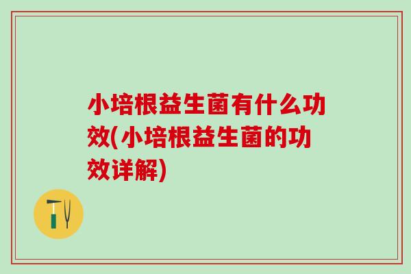 小培根益生菌有什么功效(小培根益生菌的功效详解)