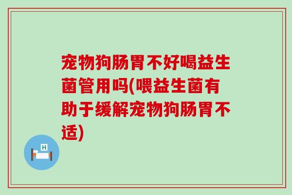 宠物狗肠胃不好喝益生菌管用吗(喂益生菌有助于缓解宠物狗肠胃不适)