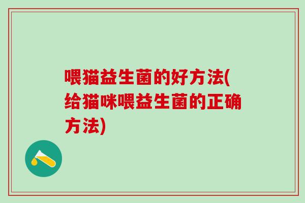 喂猫益生菌的好方法(给猫咪喂益生菌的正确方法)