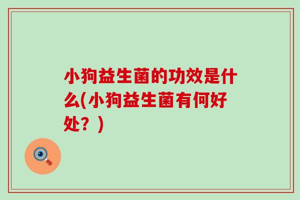 小狗益生菌的功效是什么(小狗益生菌有何好处？)