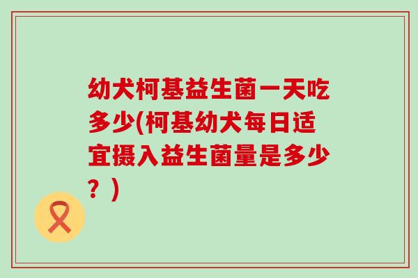 幼犬柯基益生菌一天吃多少(柯基幼犬每日适宜摄入益生菌量是多少？)