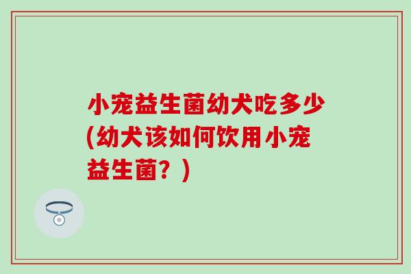 小宠益生菌幼犬吃多少(幼犬该如何饮用小宠益生菌？)