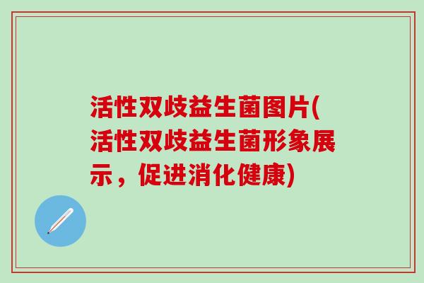 活性双歧益生菌图片(活性双歧益生菌形象展示，促进消化健康)