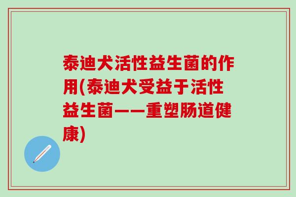 泰迪犬活性益生菌的作用(泰迪犬受益于活性益生菌——重塑肠道健康)