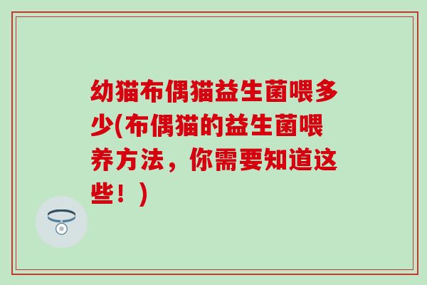 幼猫布偶猫益生菌喂多少(布偶猫的益生菌喂养方法，你需要知道这些！)
