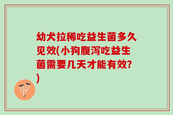 幼犬拉稀吃益生菌多久见效(小狗腹泻吃益生菌需要几天才能有效？)