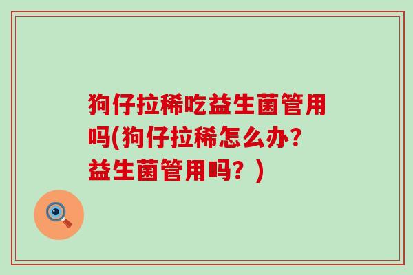 狗仔拉稀吃益生菌管用吗(狗仔拉稀怎么办？益生菌管用吗？)