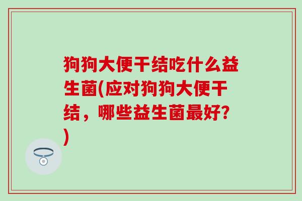狗狗大便干结吃什么益生菌(应对狗狗大便干结，哪些益生菌最好？)