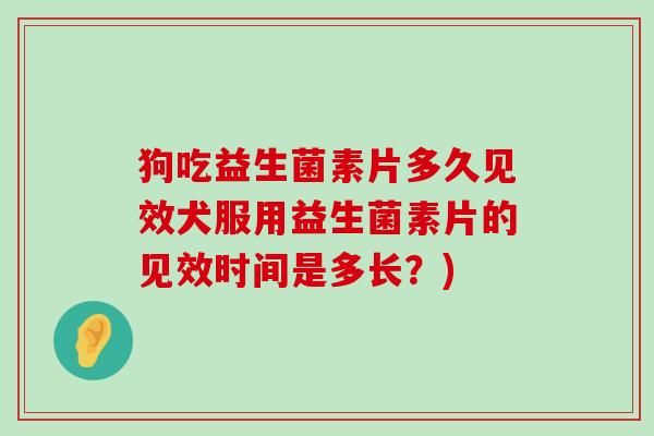 狗吃益生菌素片多久见效犬服用益生菌素片的见效时间是多长？)