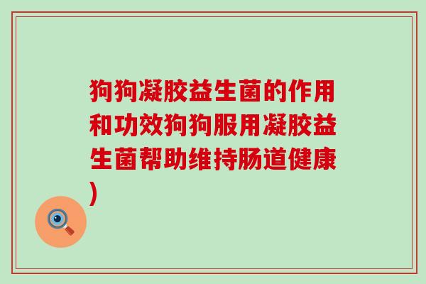 狗狗凝胶益生菌的作用和功效狗狗服用凝胶益生菌帮助维持肠道健康)
