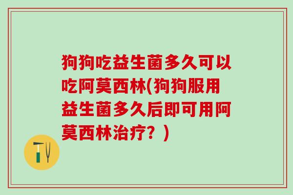 狗狗吃益生菌多久可以吃阿莫西林(狗狗服用益生菌多久后即可用阿莫西林治疗？)