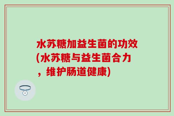水苏糖加益生菌的功效(水苏糖与益生菌合力，维护肠道健康)