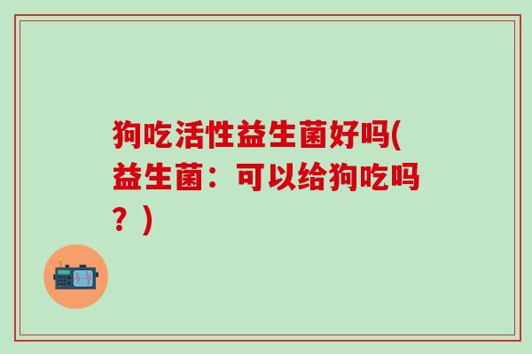 狗吃活性益生菌好吗(益生菌：可以给狗吃吗？)