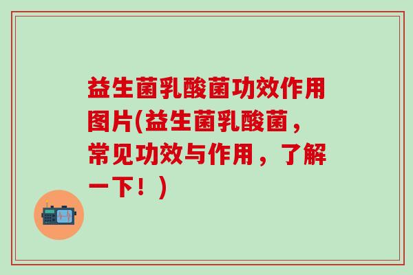 益生菌乳酸菌功效作用图片(益生菌乳酸菌，常见功效与作用，了解一下！)