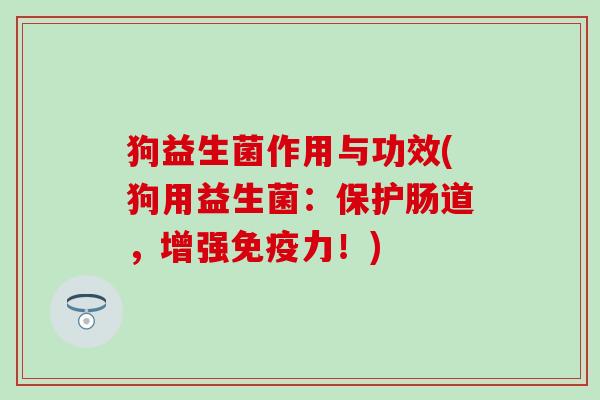 狗益生菌作用与功效(狗用益生菌：保护肠道，增强免疫力！)