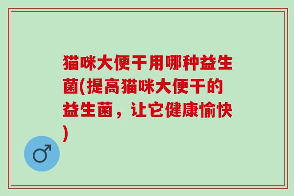 猫咪大便干用哪种益生菌(提高猫咪大便干的益生菌，让它健康愉快)