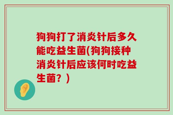 狗狗打了消炎针后多久能吃益生菌(狗狗接种消炎针后应该何时吃益生菌？)