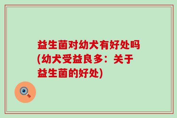 益生菌对幼犬有好处吗(幼犬受益良多:关于益生菌的好处) 益生菌对幼犬有好处吗(幼犬受益良多:关于益生菌的好处)