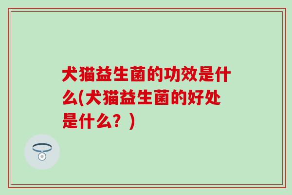 犬猫益生菌的功效是什么(犬猫益生菌的好处是什么？)