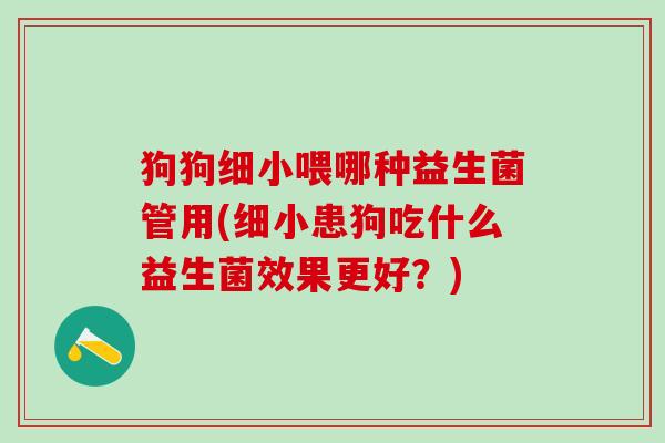 狗狗细小喂哪种益生菌管用(细小患狗吃什么益生菌效果更好？)