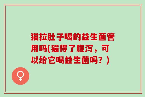 猫拉肚子喝的益生菌管用吗(猫得了腹泻，可以给它喝益生菌吗？)