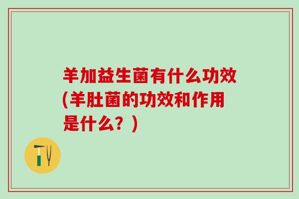 羊加益生菌有什么功效(羊肚菌的功效和作用是什么？)