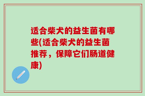 适合柴犬的益生菌有哪些(适合柴犬的益生菌推荐,保障它们肠道健康) 适合柴犬的益生菌有哪些(适合柴犬的益生菌推荐,保障它们肠道健康)