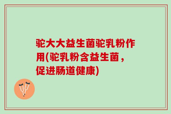 驼大大益生菌驼乳粉作用(驼乳粉含益生菌，促进肠道健康)