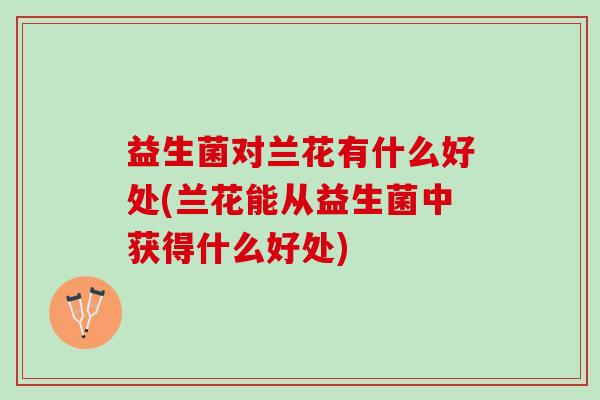 益生菌对兰花有什么好处(兰花能从益生菌中获得什么好处)