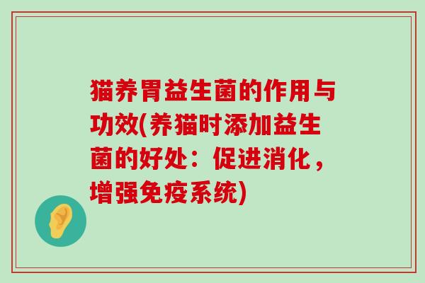 猫养胃益生菌的作用与功效(养猫时添加益生菌的好处：促进消化，增强免疫系统)