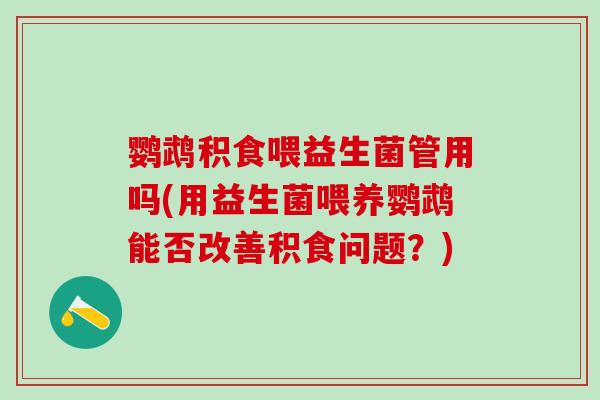 鹦鹉积食喂益生菌管用吗(用益生菌喂养鹦鹉能否改善积食问题？)