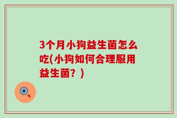 3个月小狗益生菌怎么吃(小狗如何合理服用益生菌？)
