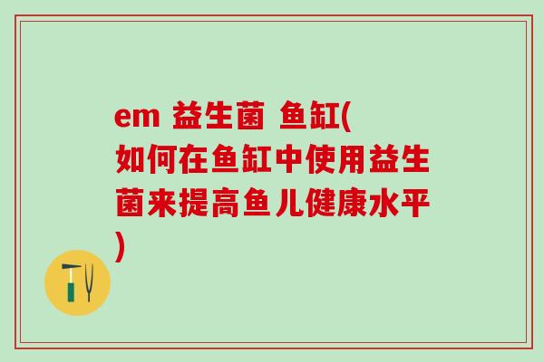 em 益生菌 鱼缸(如何在鱼缸中使用益生菌来提高鱼儿健康水平)