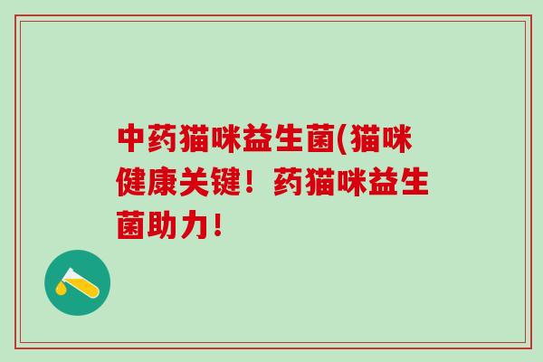 中药猫咪益生菌(猫咪健康关键！药猫咪益生菌助力！
