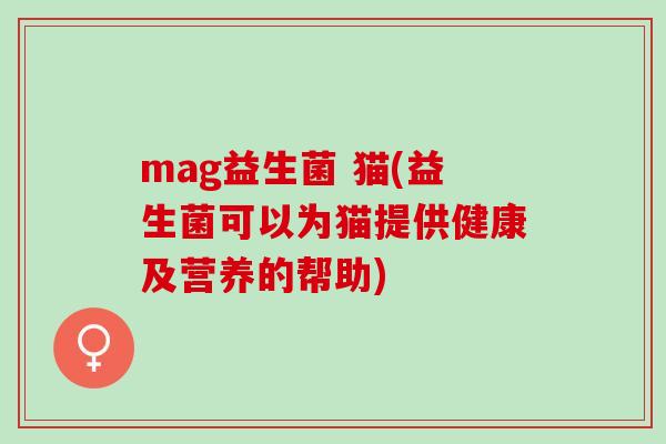 mag益生菌 猫(益生菌可以为猫提供健康及营养的帮助)