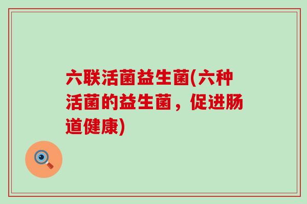 六联活菌益生菌(六种活菌的益生菌，促进肠道健康)