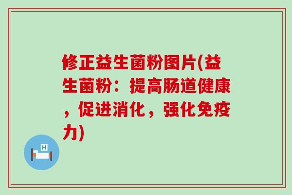 修正益生菌粉图片(益生菌粉:提高肠道健康,促进消化,强化力) 修正益生菌粉图片(益生菌粉:提高肠道健康,促进消化,强化力)