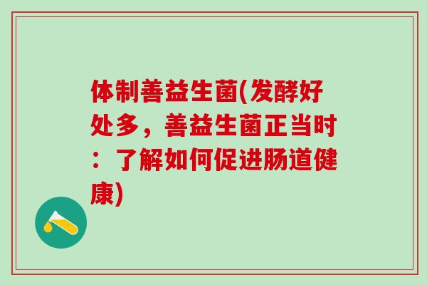 体制善益生菌(发酵好处多,善益生菌正当时:了解如何促进肠道健康) 体制善益生菌(发酵好处多,善益生菌正当时:了解如何促进肠道健康)