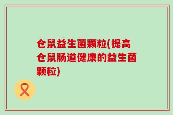 仓鼠益生菌颗粒(提高仓鼠肠道健康的益生菌颗粒)