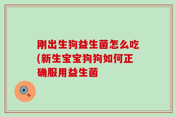 刚出生狗益生菌怎么吃(新生宝宝狗狗如何正确服用益生菌